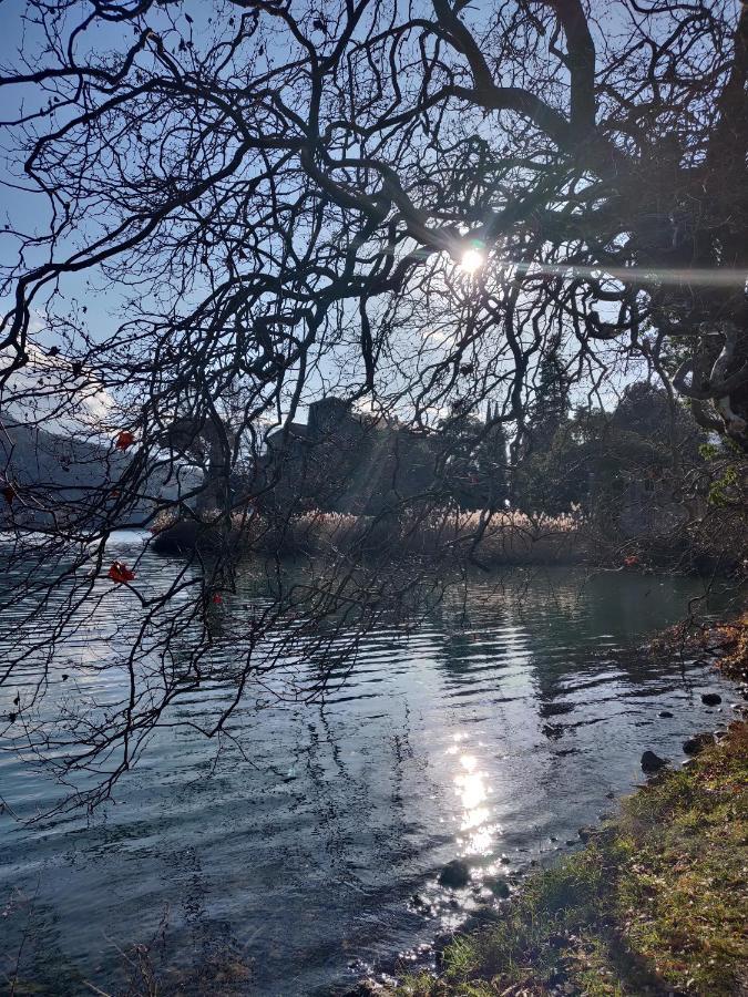 La Finestra Sul Brenta Appartement Lasino Buitenkant foto